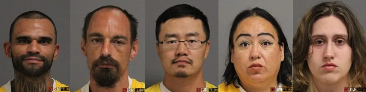 Mesa County Sheriff Books Five Over Weekend Violent Incidents