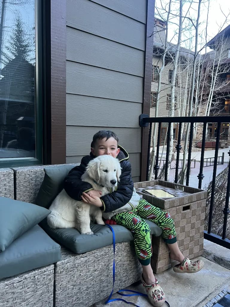 Basalt's Endless Pawsibilities Raises Funds for Deaf Boy's Service Dog