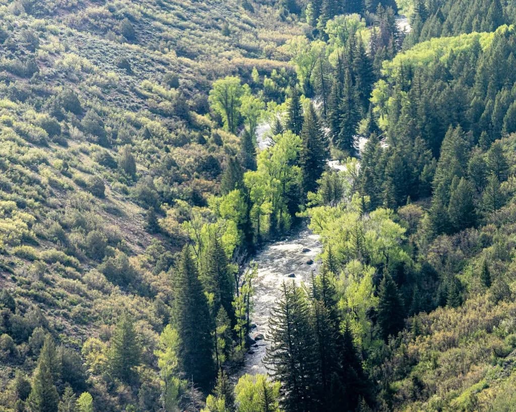 Snowmass Declares Go Time as 30% Snowpack Sparks Firefighting Water Crisis
