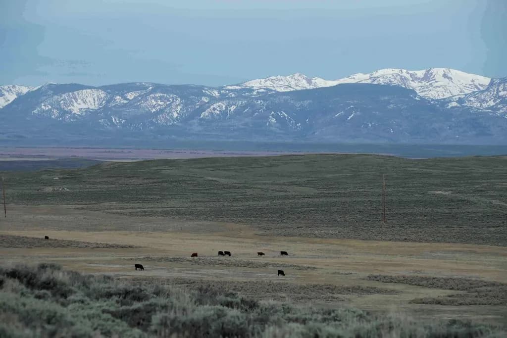 Colorado Drought Task Force Urges Phase Three Emergency for Gov. Polis