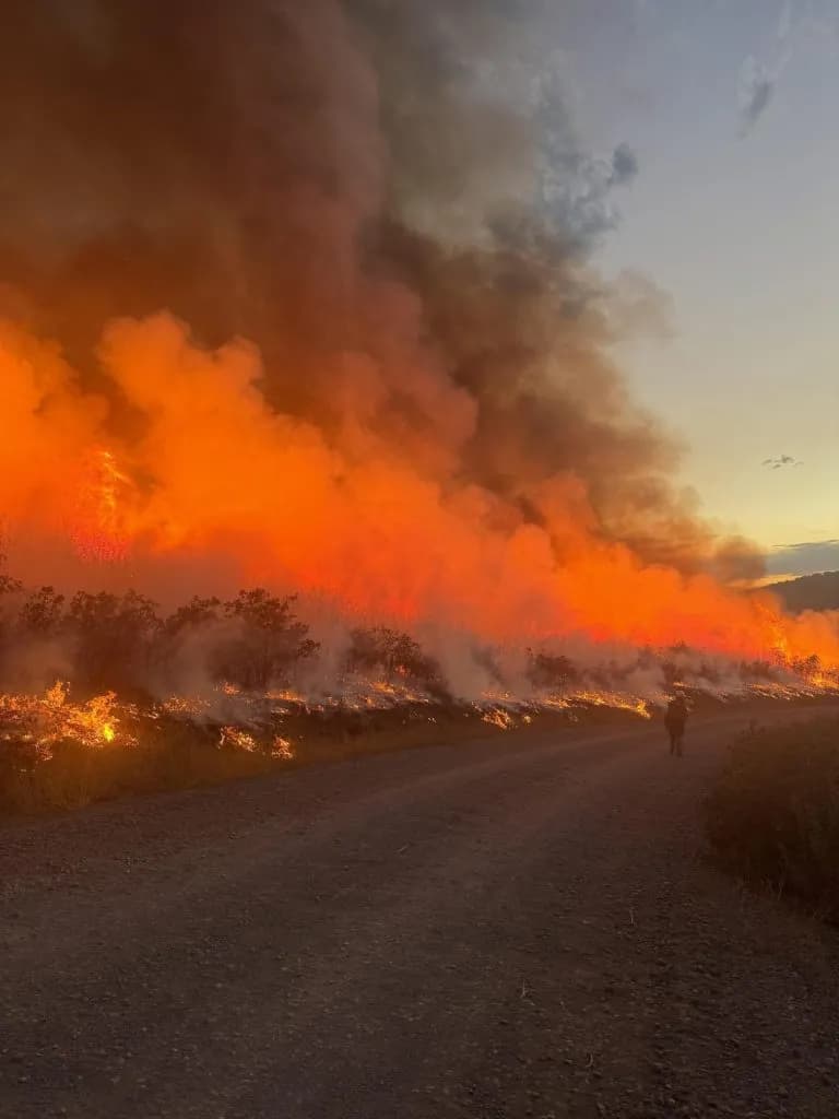 Colorado Wildfires Burn 214,000 Acres as Stage 2 Restrictions Hold