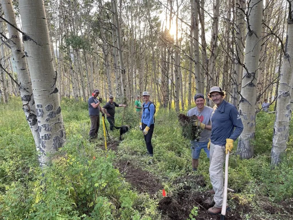 Vail Valley Mountain Trails Alliance Maintains Western Slope Paths