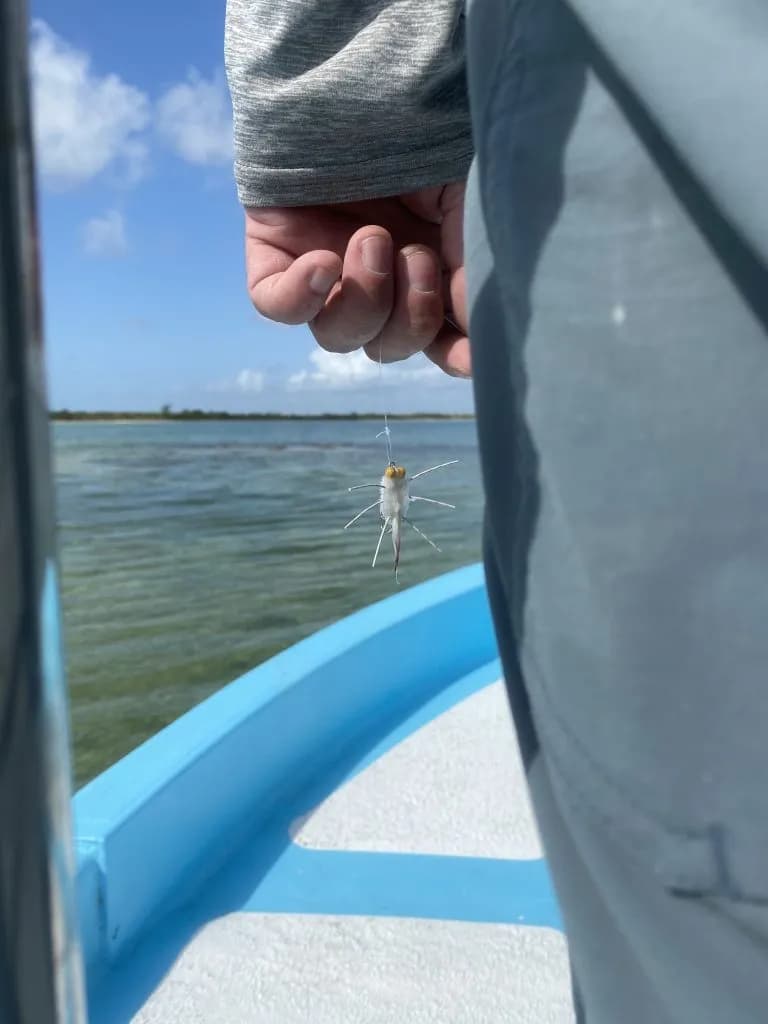 Fly Fishing Expert Offers Casting Tips for Saltwater Trips