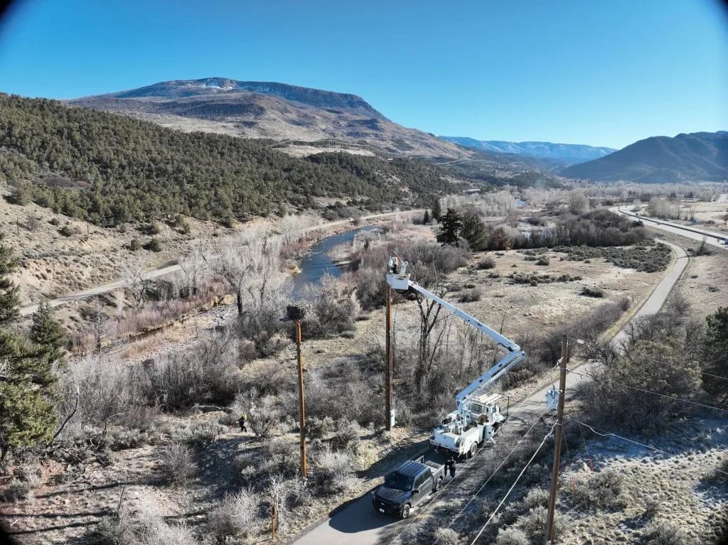 Pitkin County Upgrades Osprey Camera for Clearer Wildlife Views