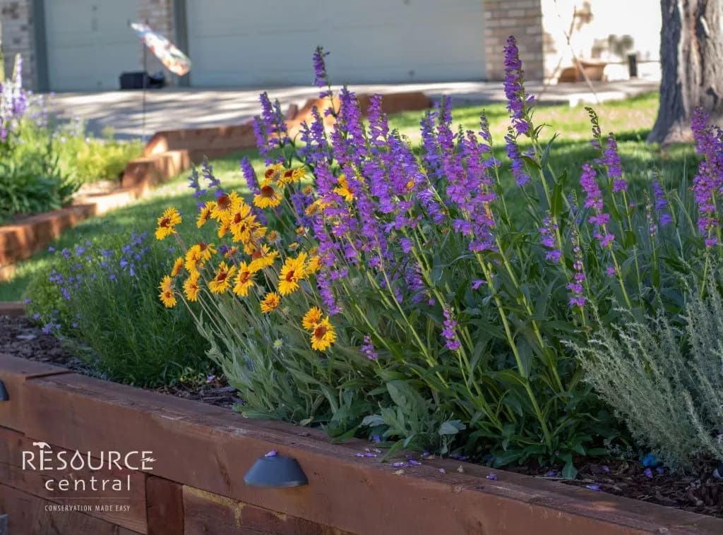 Steamboat Springs Mandates Drought-Proof Landscapes to Slash Water Use