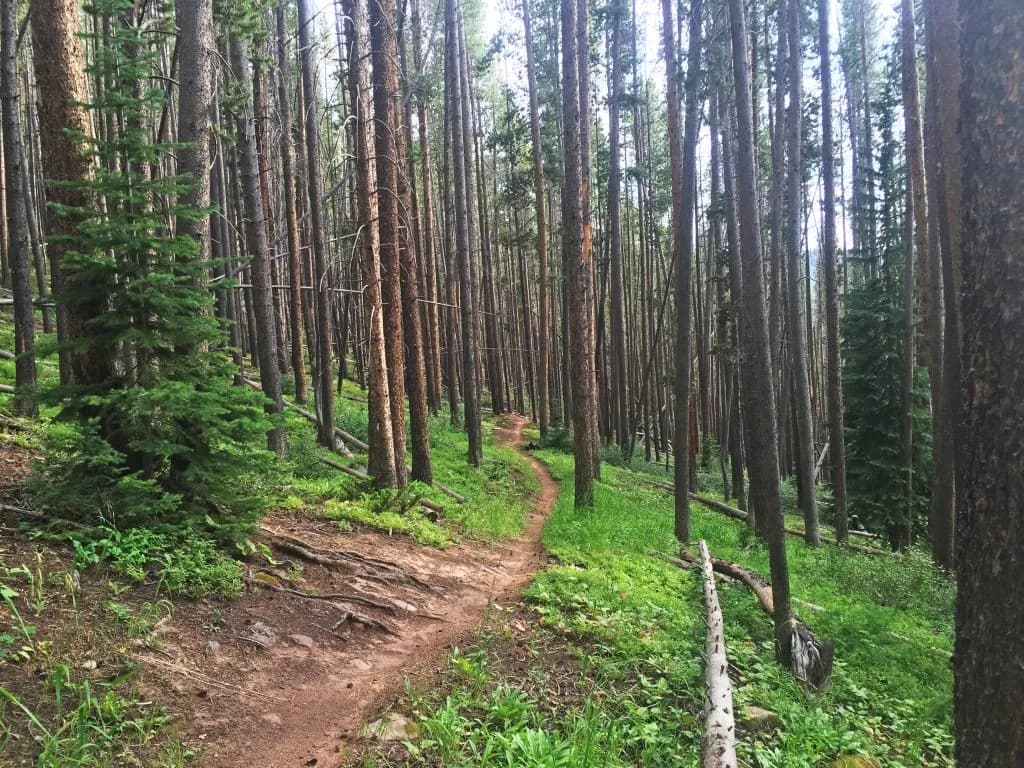 Son of Middle Creek Trail Guide