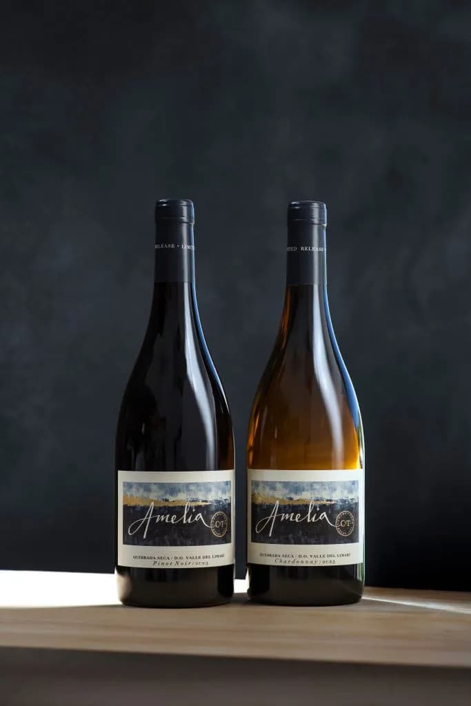Viña Concha y Toro Launches Independent Viña Amelia in Aspen