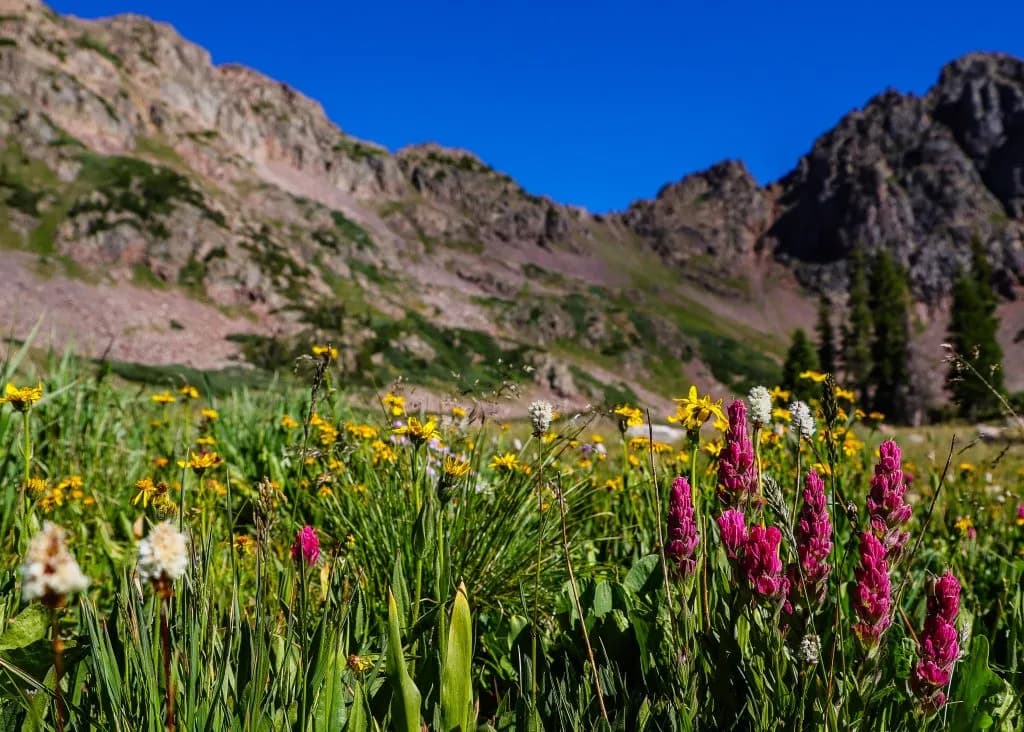 EagleVail Marks 50th Anniversary of Eagles Nest Wilderness Protection