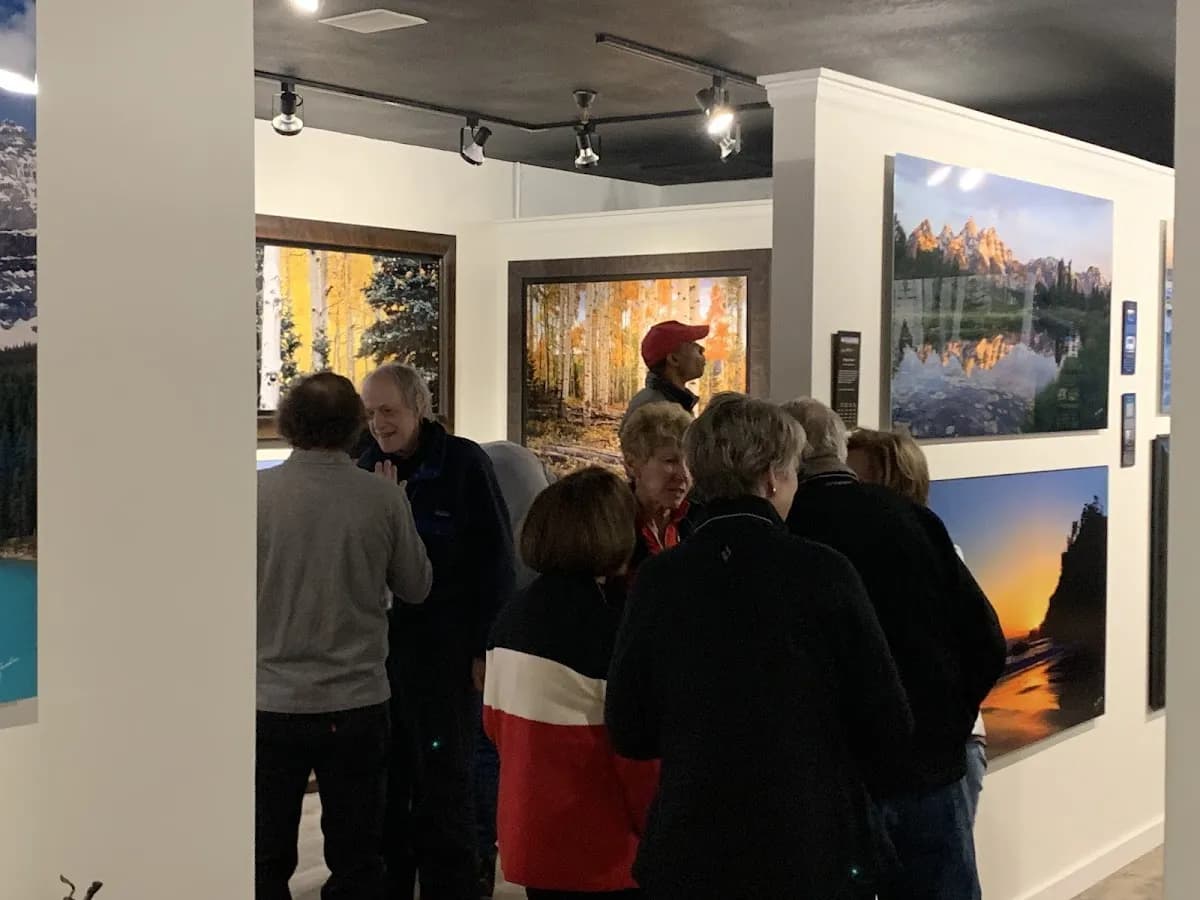 Zandee Gallery