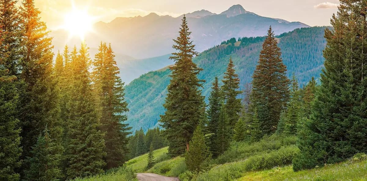 Allergy, Asthma & Immunology of the Rockies, P.C.