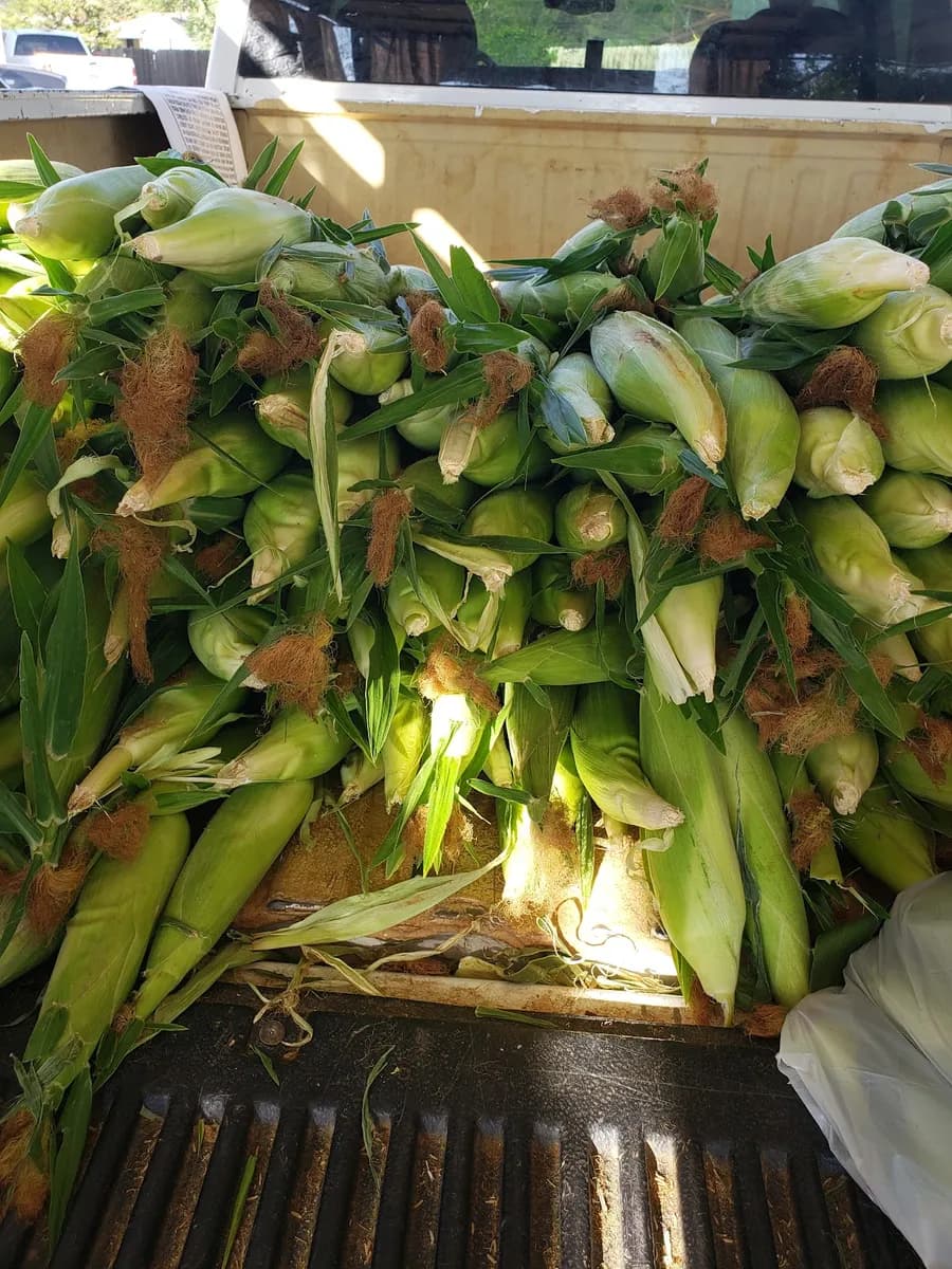 Homegrown Adame Produce