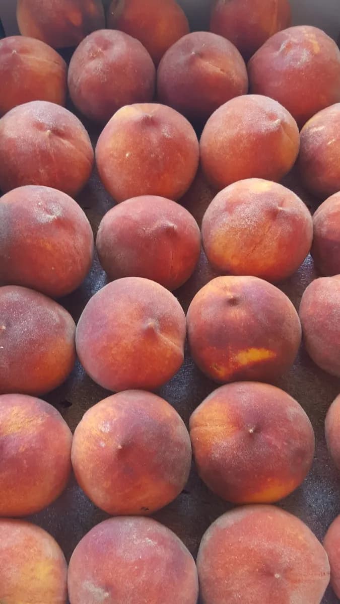 Sweet Cheeks Organic Peaches