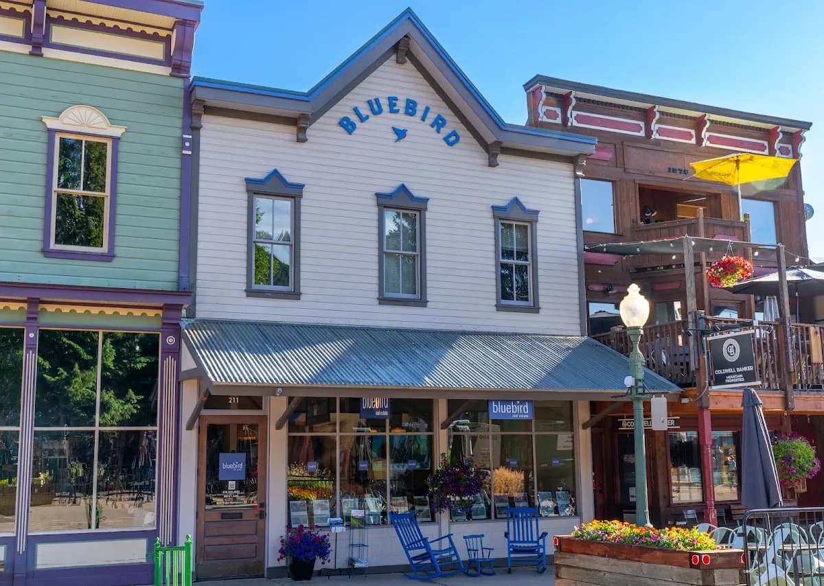 Bluebird Real Estate