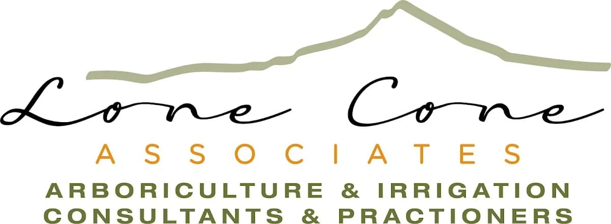 Lone Cone Associates