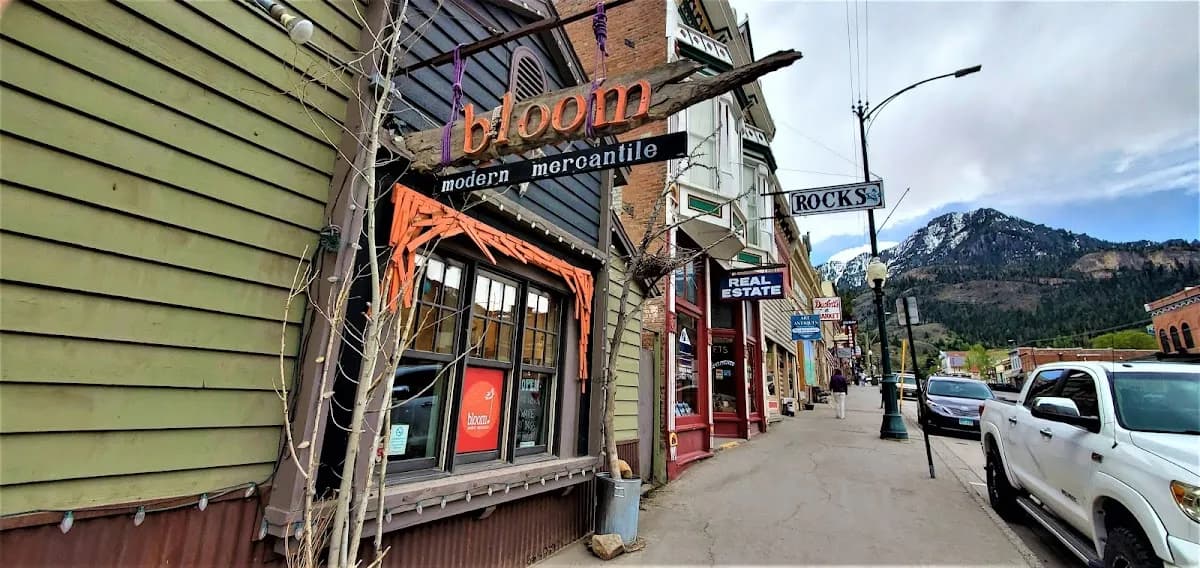 Bloom Modern Mercantile