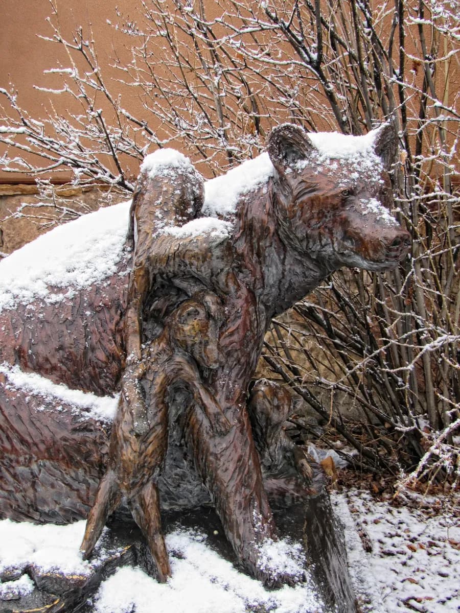 Rocky Mountain Inn