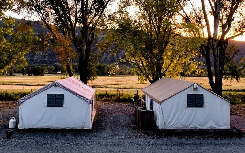 BASECAMP 550