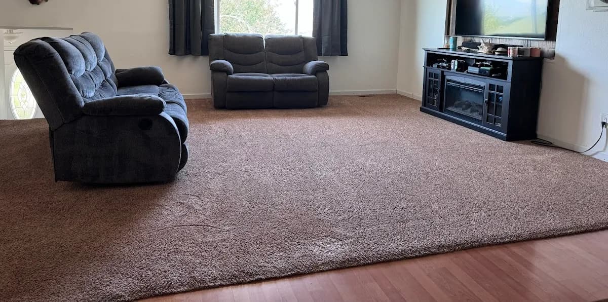 Proteck Carpet & Tile Cleaning