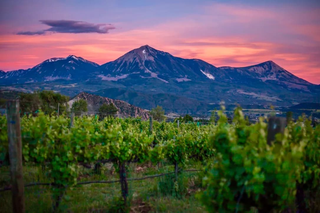 Stone Cottage Cellars
