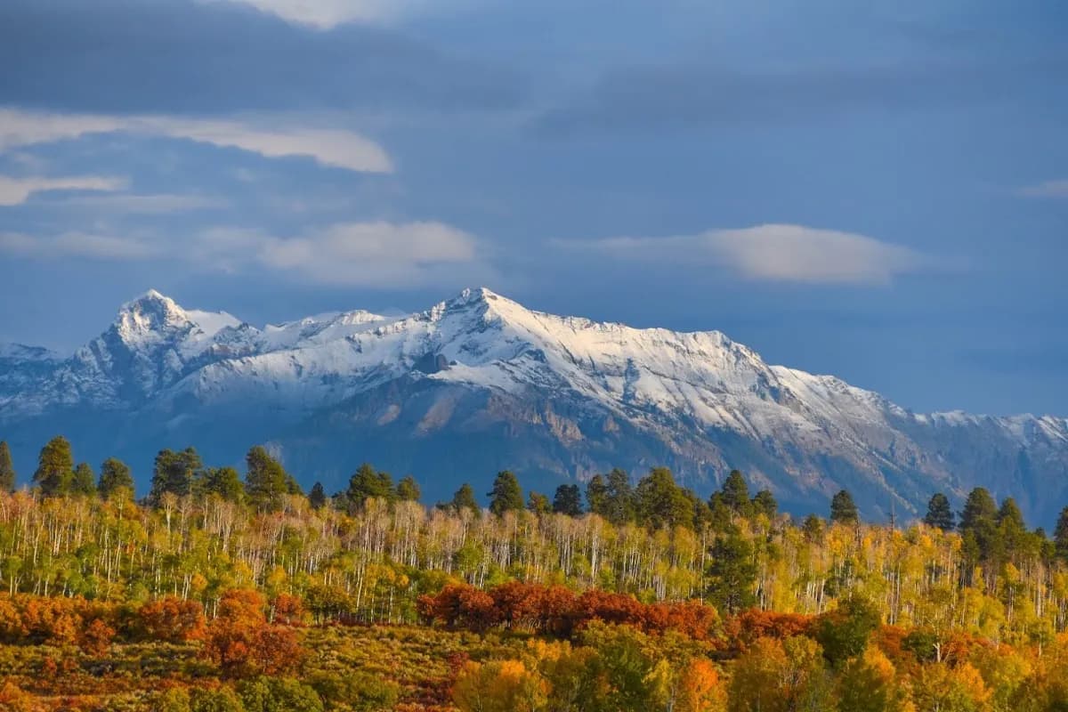 Kari Girard, Ponderosa Real Estate The Source For Real Estate