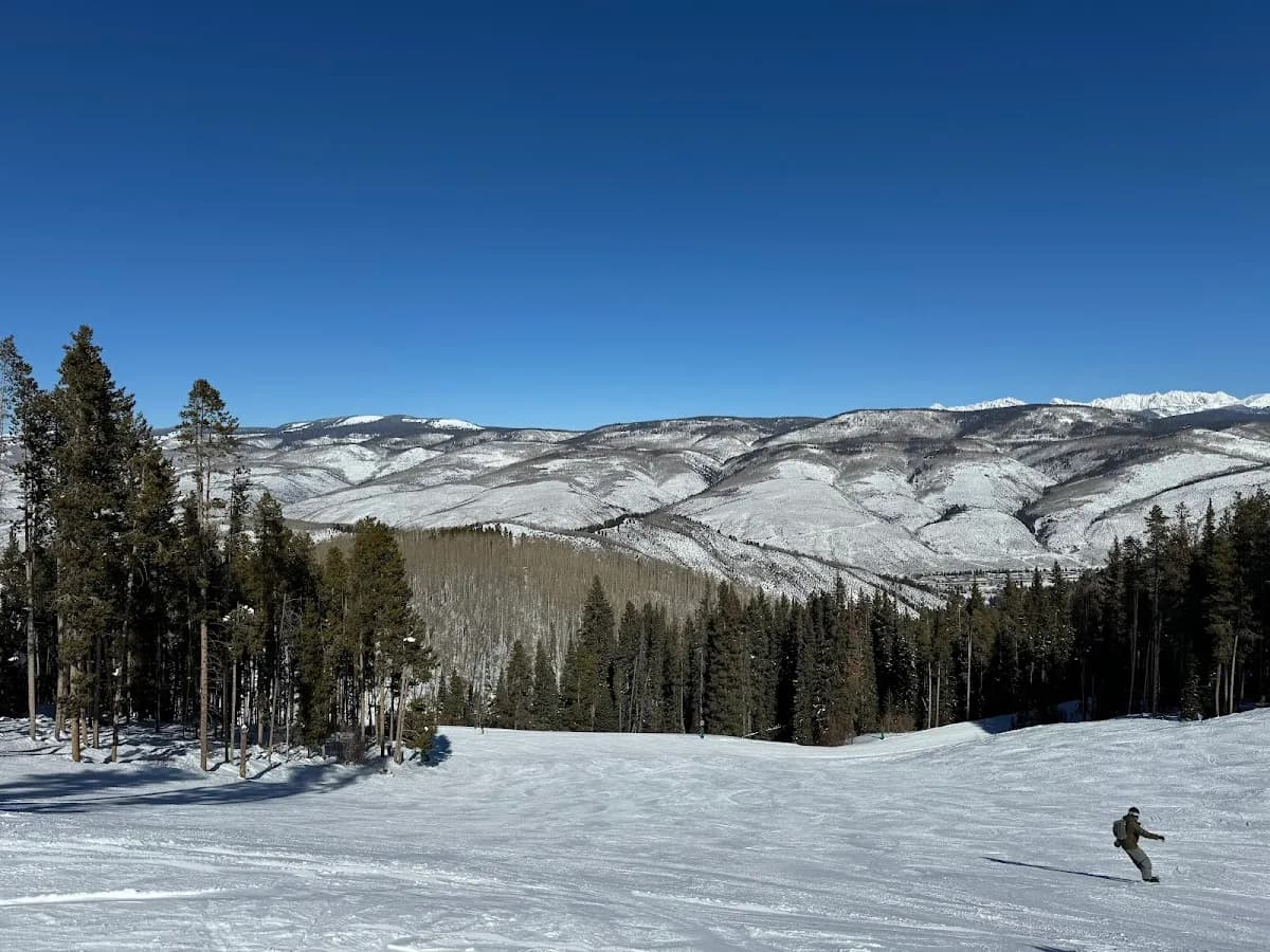 Black Tie Ski & Bike Rentals in Vail & Beaver Creek