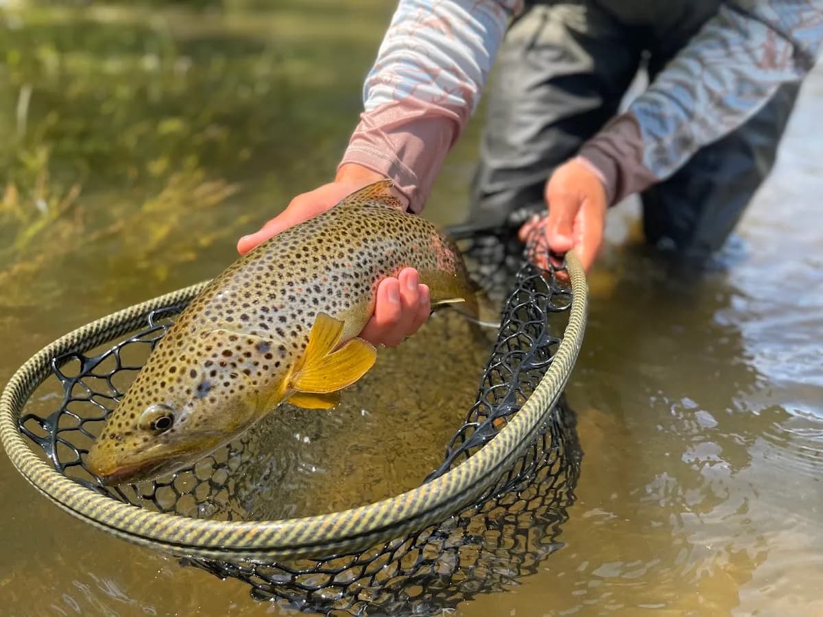 Eagle River Outfitter