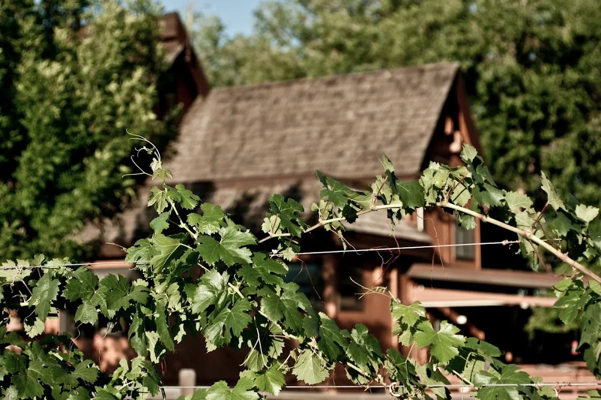 Cherokee Vineyard Bed & Breakfast