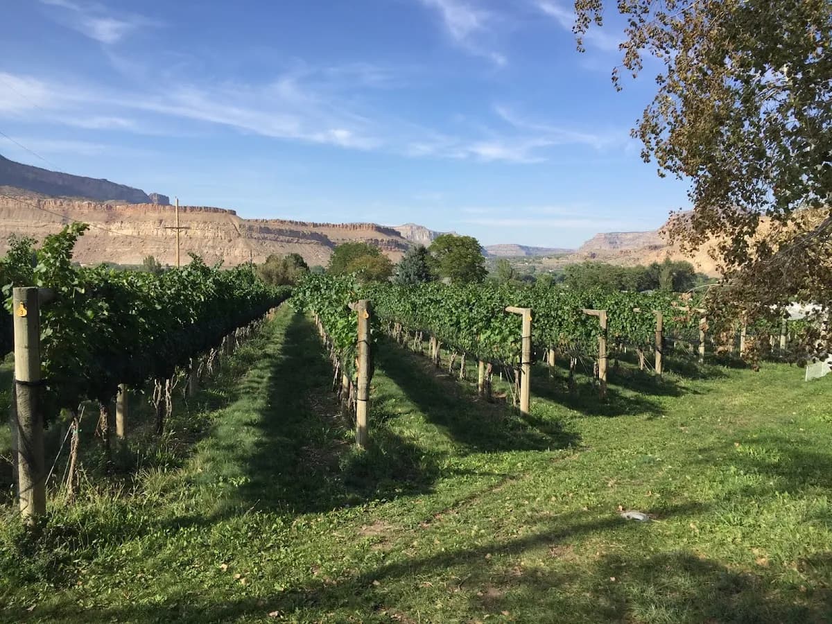 Bookcliff Vineyards - Palisade Tasting Room
