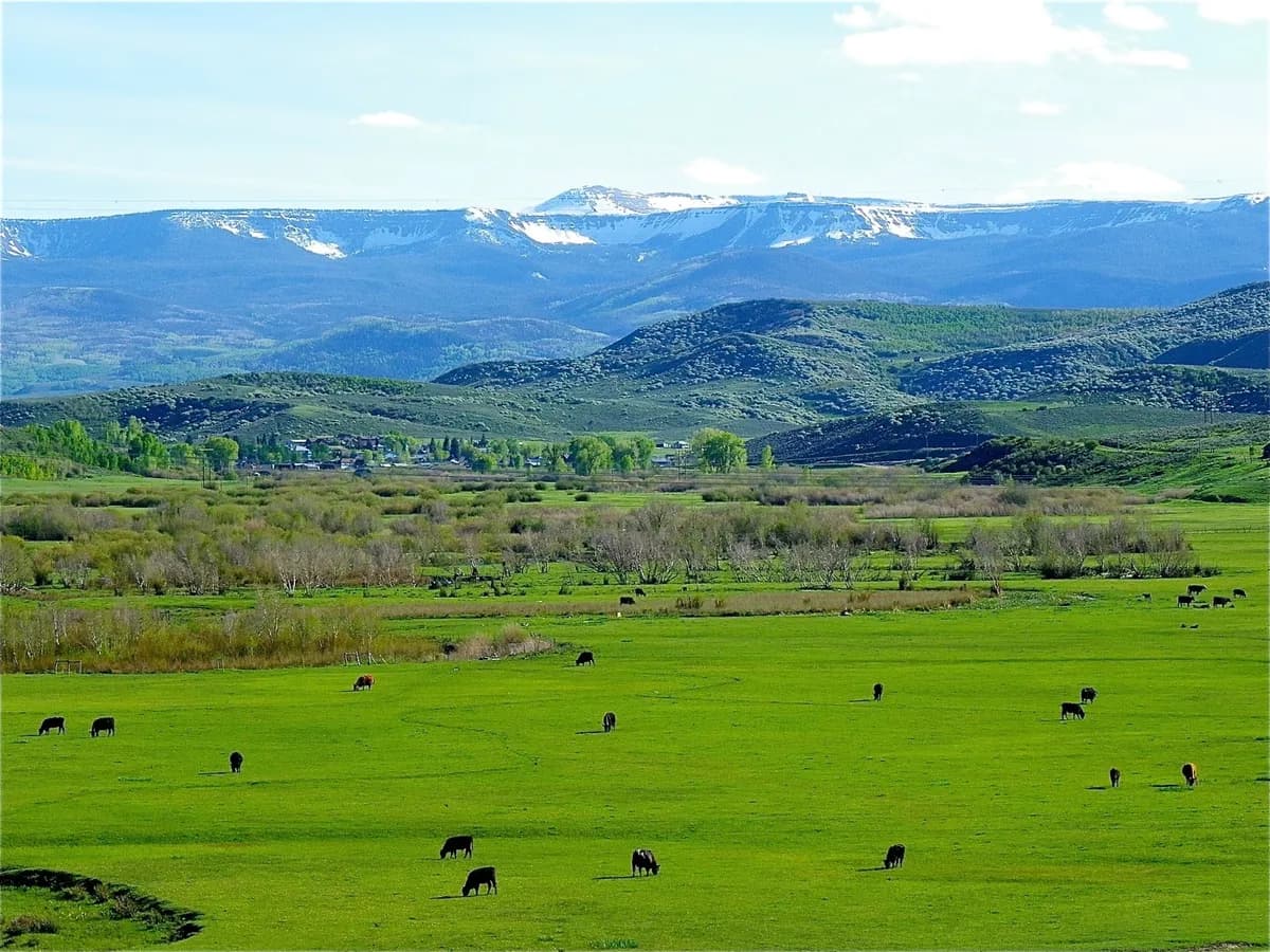 Community Agriculture Alliance/ Yampa Valley Foods
