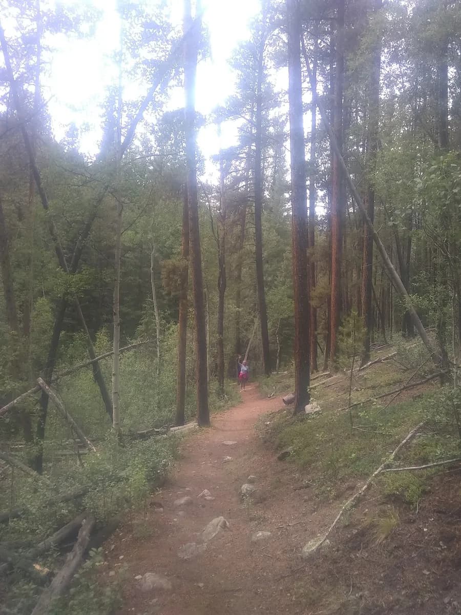 Taylor River Trout Fishing / Hiking, Mountain Biking, Fossel Ridge Wilderness