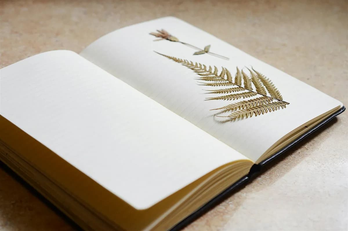 Yampa River Center Workshop: Nature Journaling