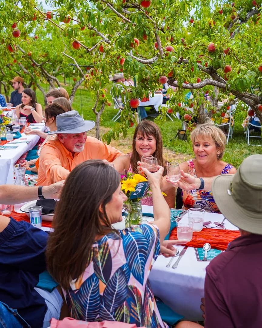 Palisade Peach Festival