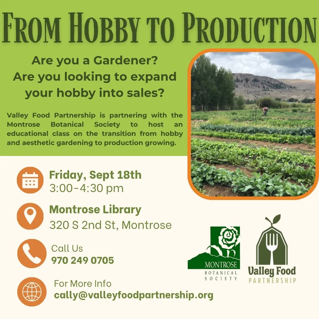 From Hobby To Production