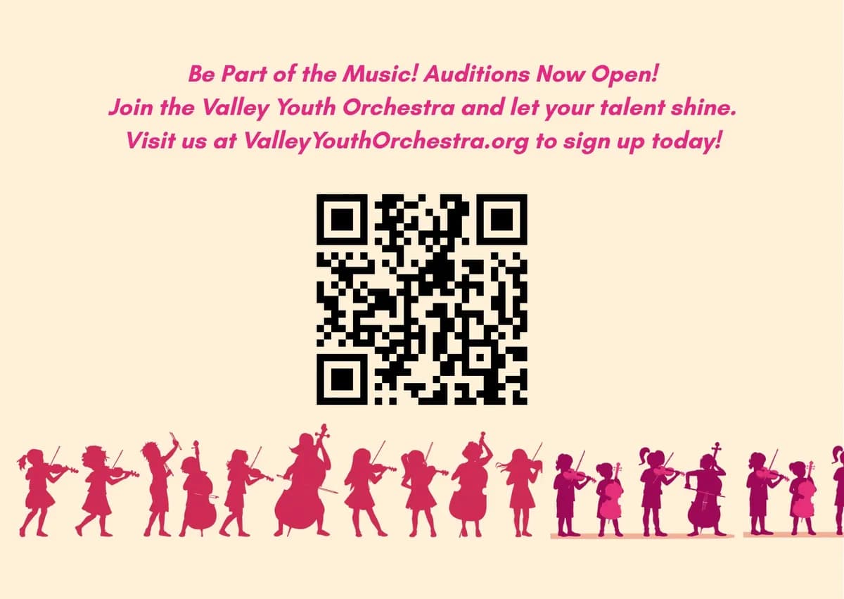 Valley Youth Orchestra Auditions