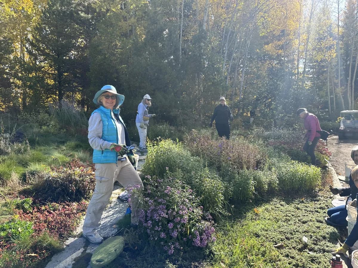 Social Gardening