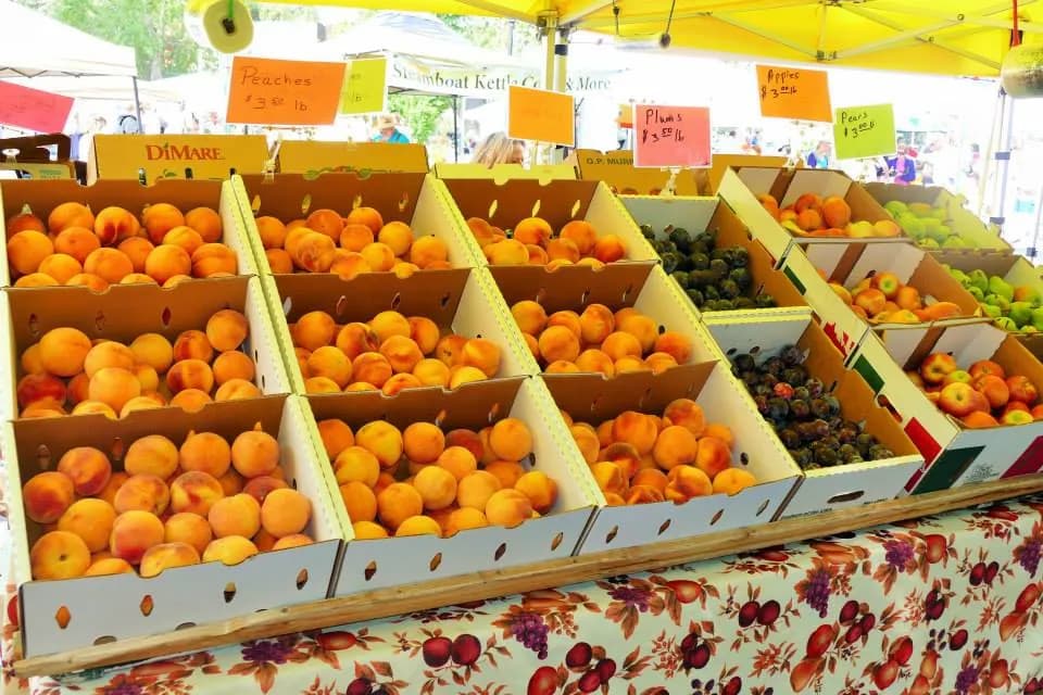 Main Street Steamboat Farmers Market