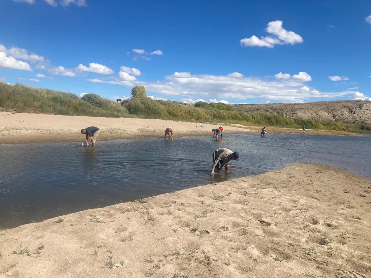 Dragonfly Larvae Sampling - ALL VOLUNTEERS MUST SIGN UP