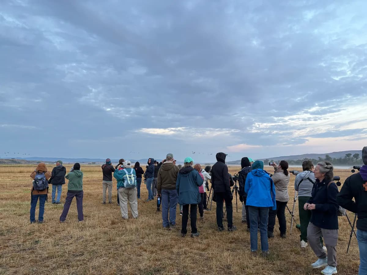15th annual Yampa Valley Crane Festival, September 3- 6, 2026