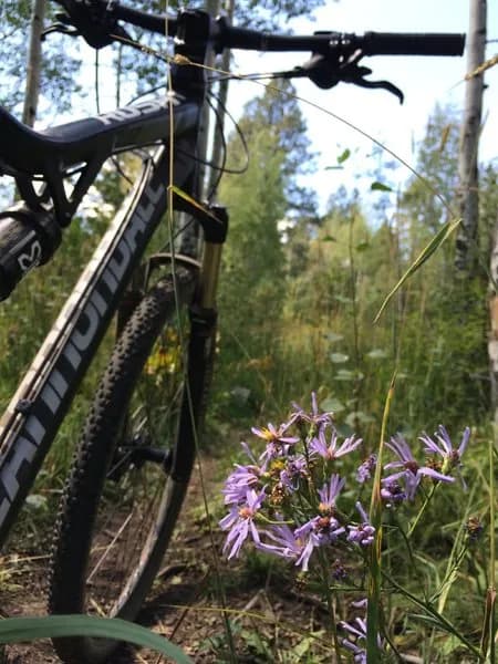 Aspen Run Trail (307)