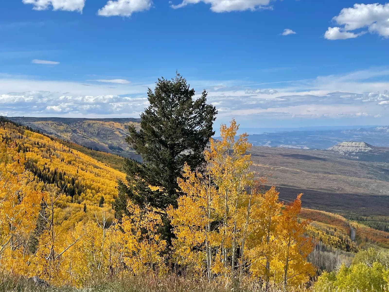 Grand Mesa