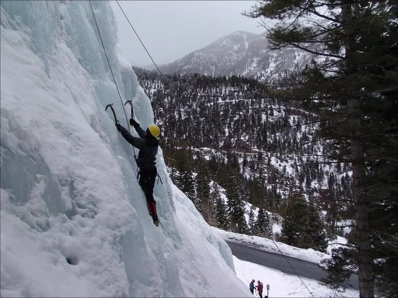 A&W's Whipper view 3