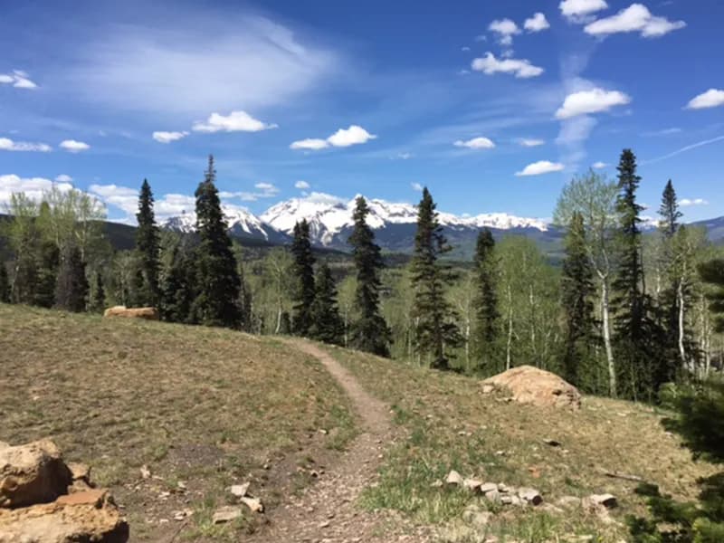 Ridge Trail