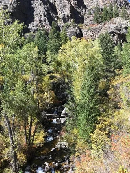 Jessie Weaver Trail #1847