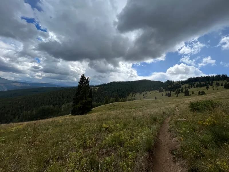 Cement Mountain Trail