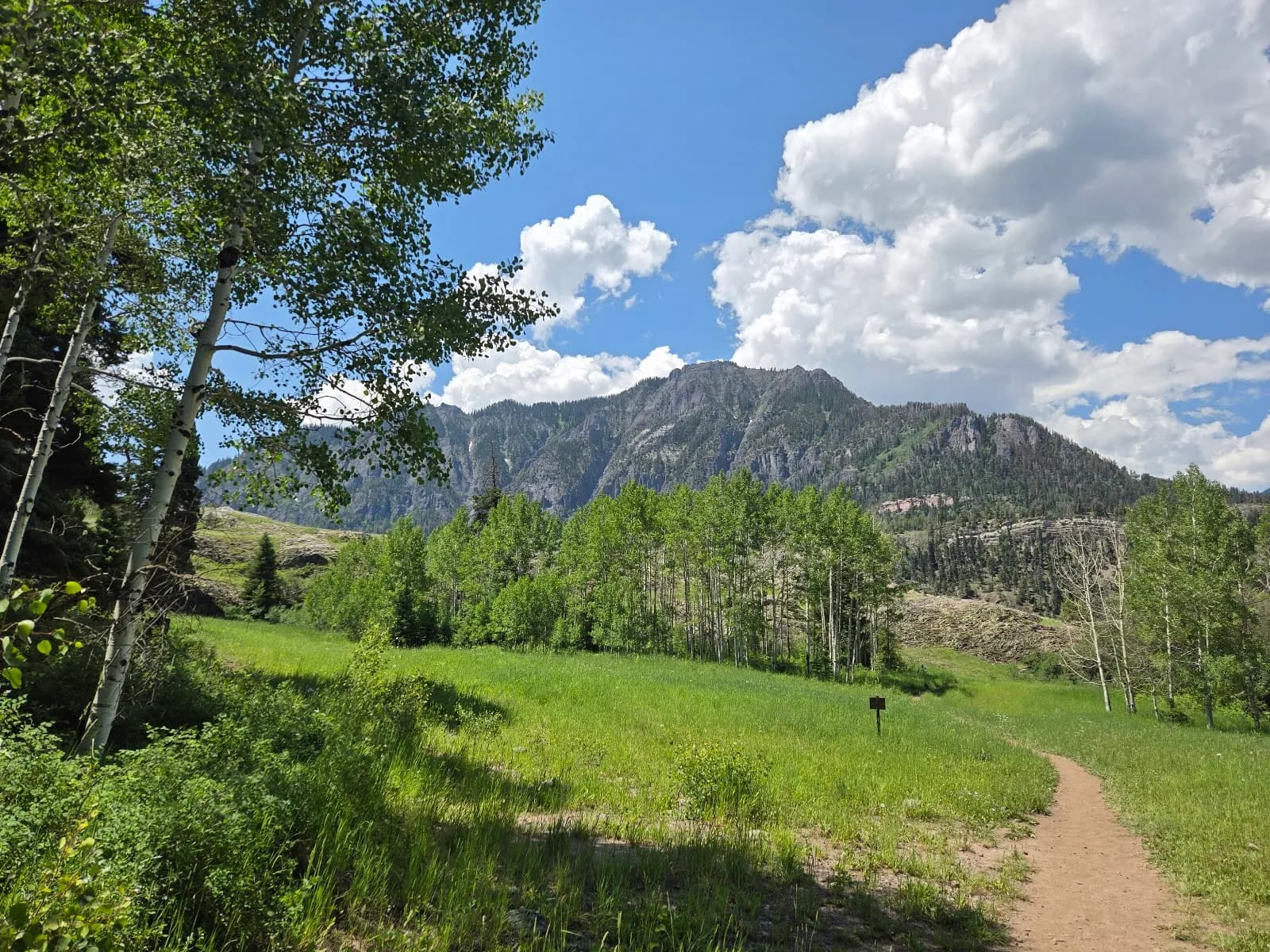 Uncompahgre National Forest