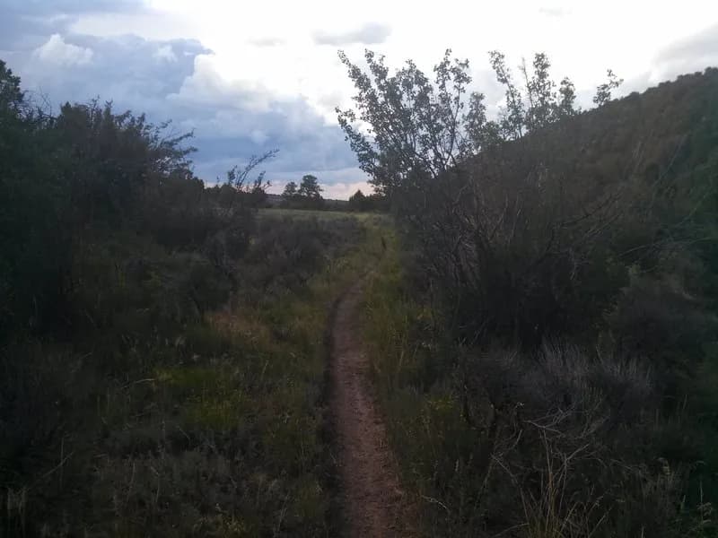 Lower Spring Creek Trail #206