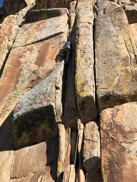 Breeder's Cup main view