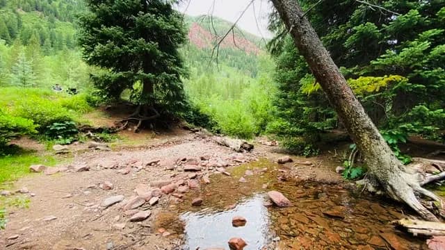 Silver Bar Campground