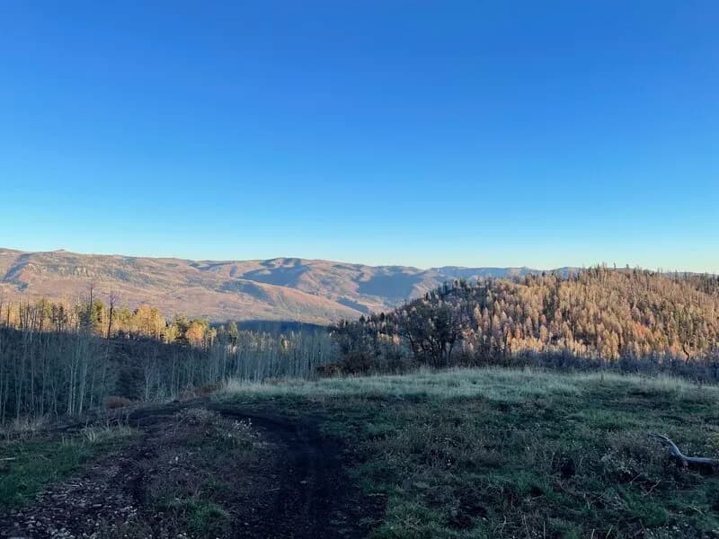 Elbert Creek to Jones Creek